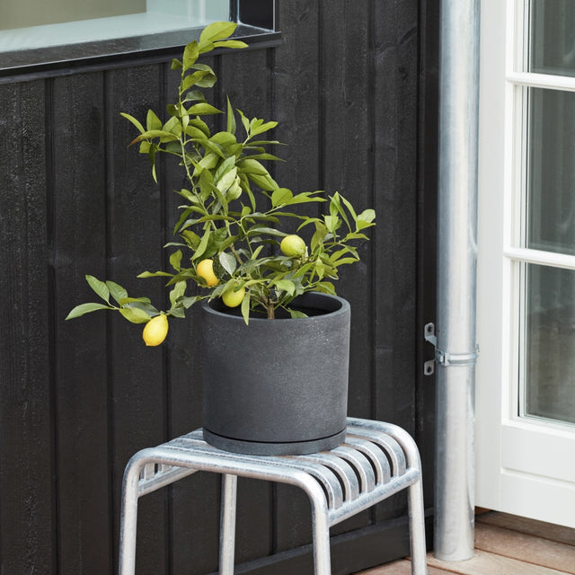 Blumentopf mit Untersetzer XXL - HAY